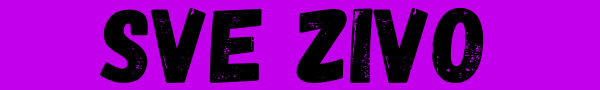 SVE ZIVO.SHOP